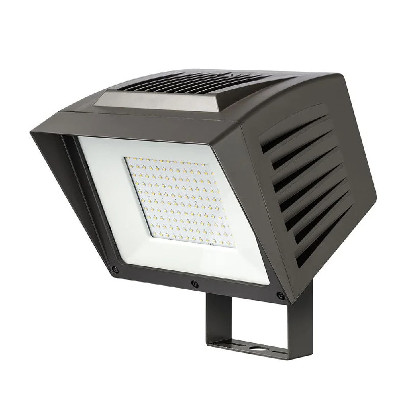 Track lighting for creating a focal pointAtlas Lighting Flood Light Large PFL