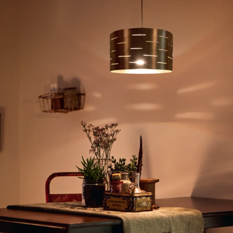 Track lighting with swivel heads for precise aimingPhilips Roseate Pendant light