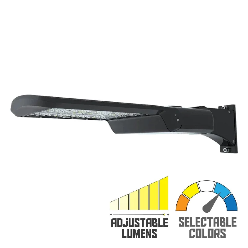 Corrosion - Resistant Industrial Lighting for Coastal FactoriesRAB A17 Field Adjustable Area Light Corrosion - Resistant Industrial Lighting for Coastal FactoriesRAB A17 Field Adjustable Area Light