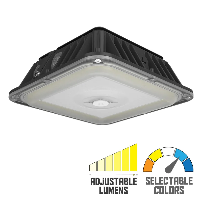 Industrial Lighting for Chemical PlantsRAB VAN17 3-Way Adjustable Canopy Light