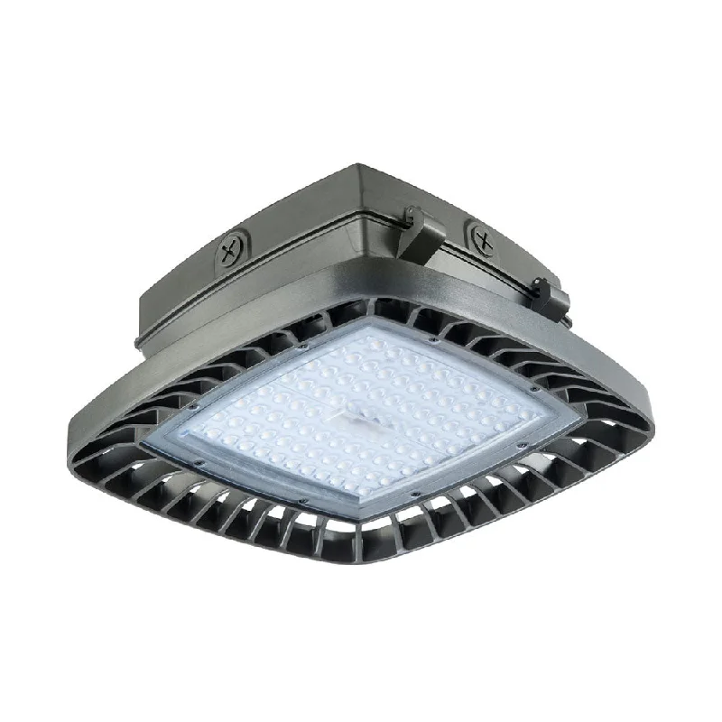 Track lighting for outdoor gardensAtlas Lighting Low Profile Parking Garage PGM