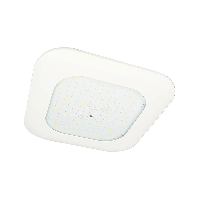 Track lighting for accentuating artworksLSI Industries Scottsdale Canopy Lighting Fixture CRUS Track lighting for accentuating artworksLSI Industries Scottsdale Canopy Lighting Fixture CRUS
