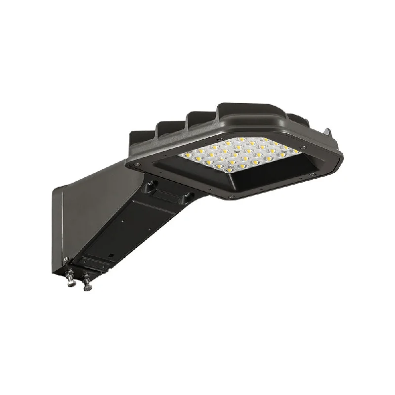 Track lighting with multiple heads for flexibilityAtlas Lighting Eagle Series Area Light Small SLPS Track lighting with multiple heads for flexibilityAtlas Lighting Eagle Series Area Light Small SLPS